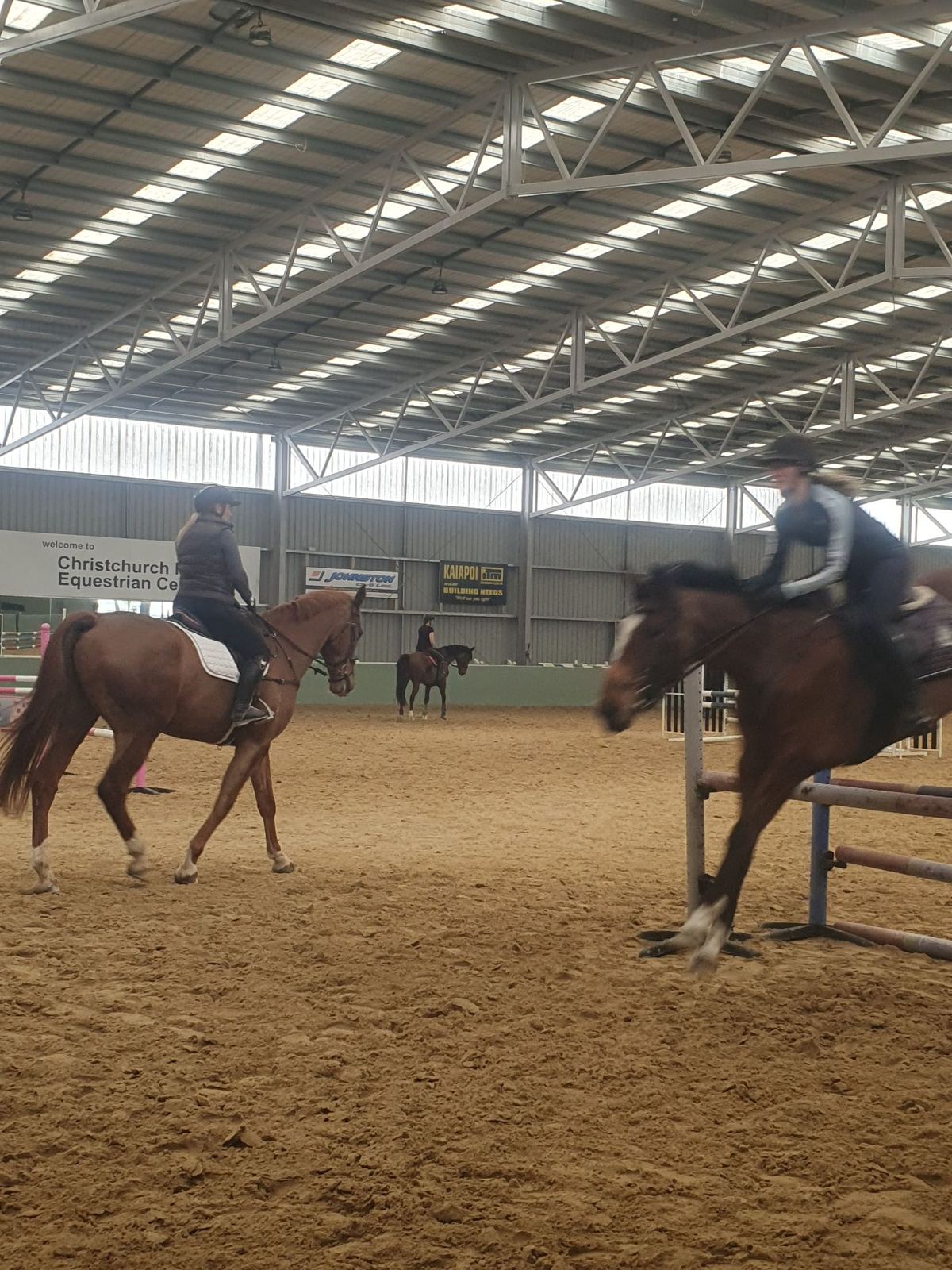Two riders schooling their horses in the arena