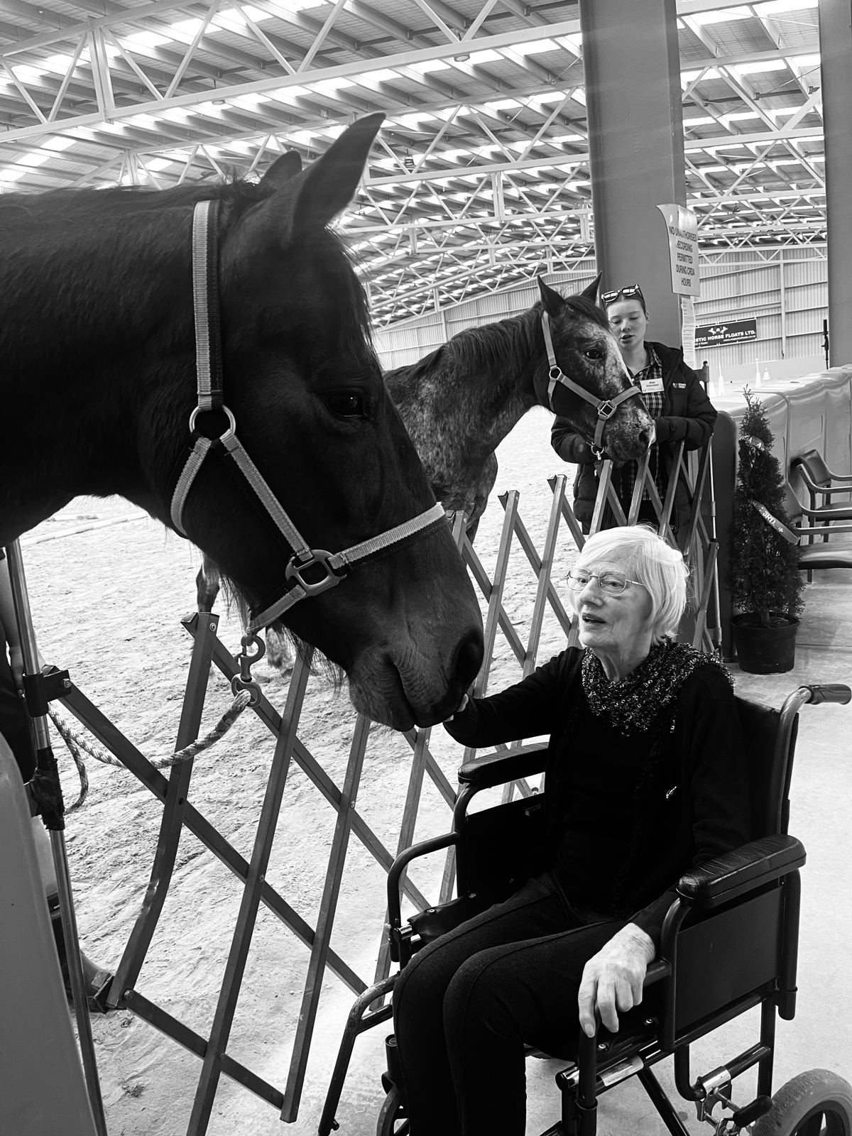 Black and white photo of an older rider in a wheelchair sharing a quiet moment with a horse