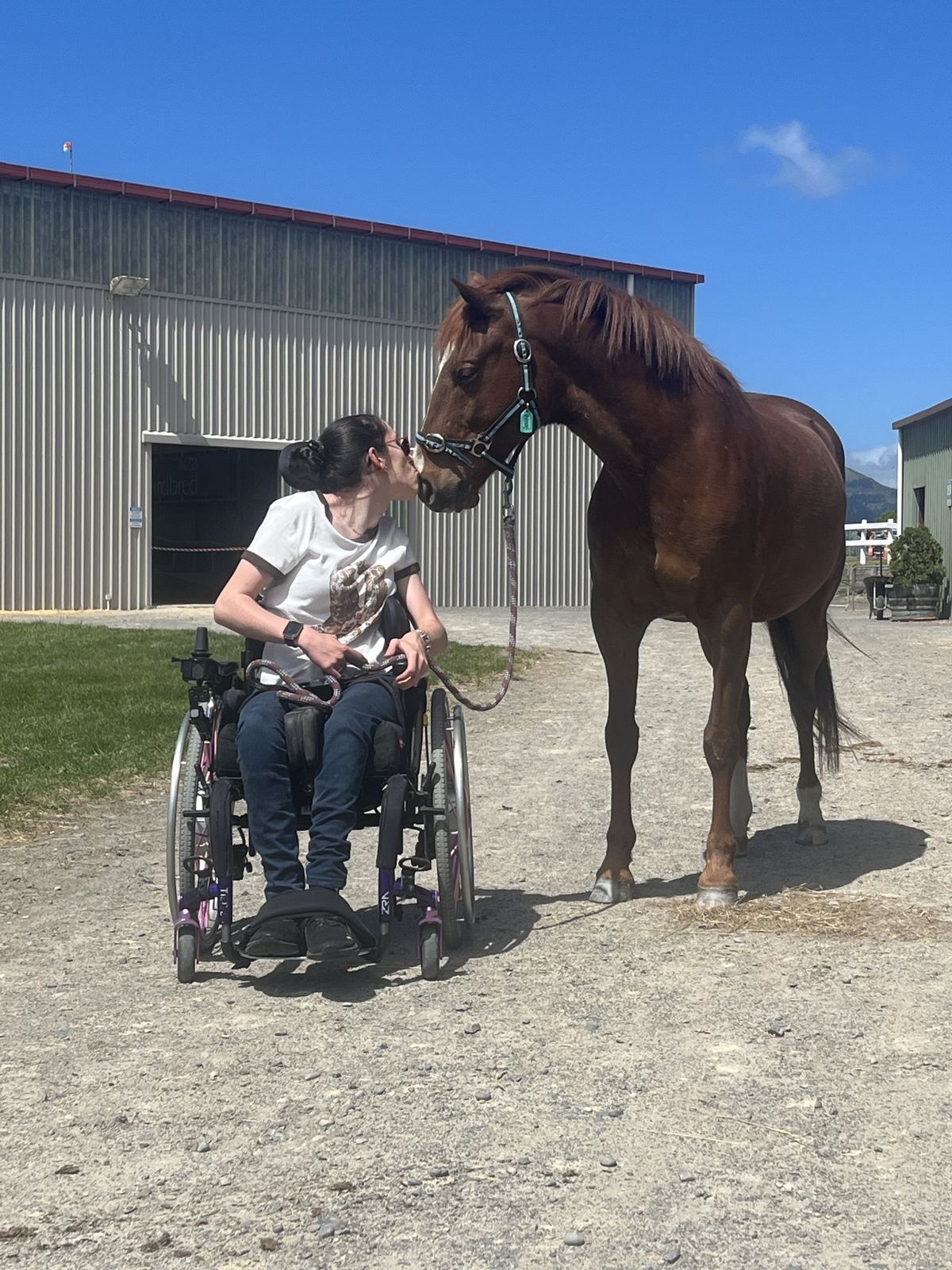 A young woman in a wheelchair greeting a bay horse outside the stables