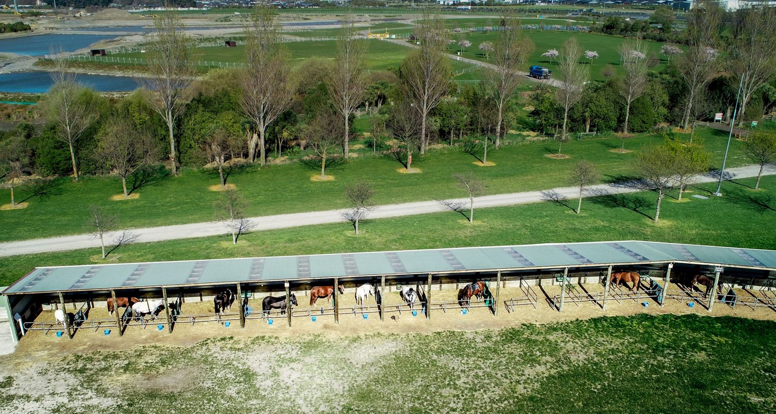 Aerial view of the covered horse yards and tree-lined paddocks
