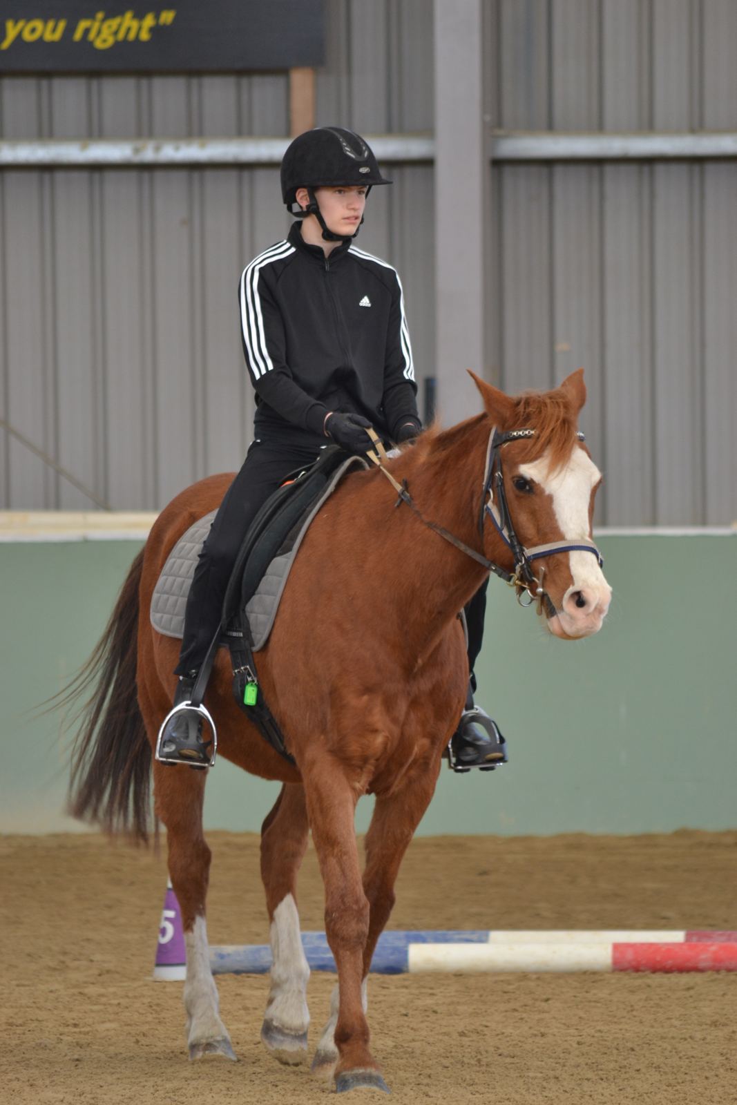 A rider on a chestnut horse jumping a small pole