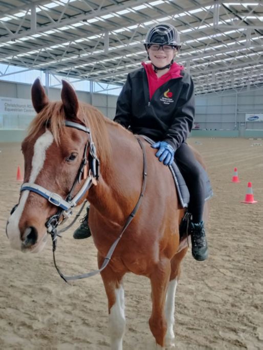 A young rider in a helmet and pink scarf sitting on a chestnut horse in the arena