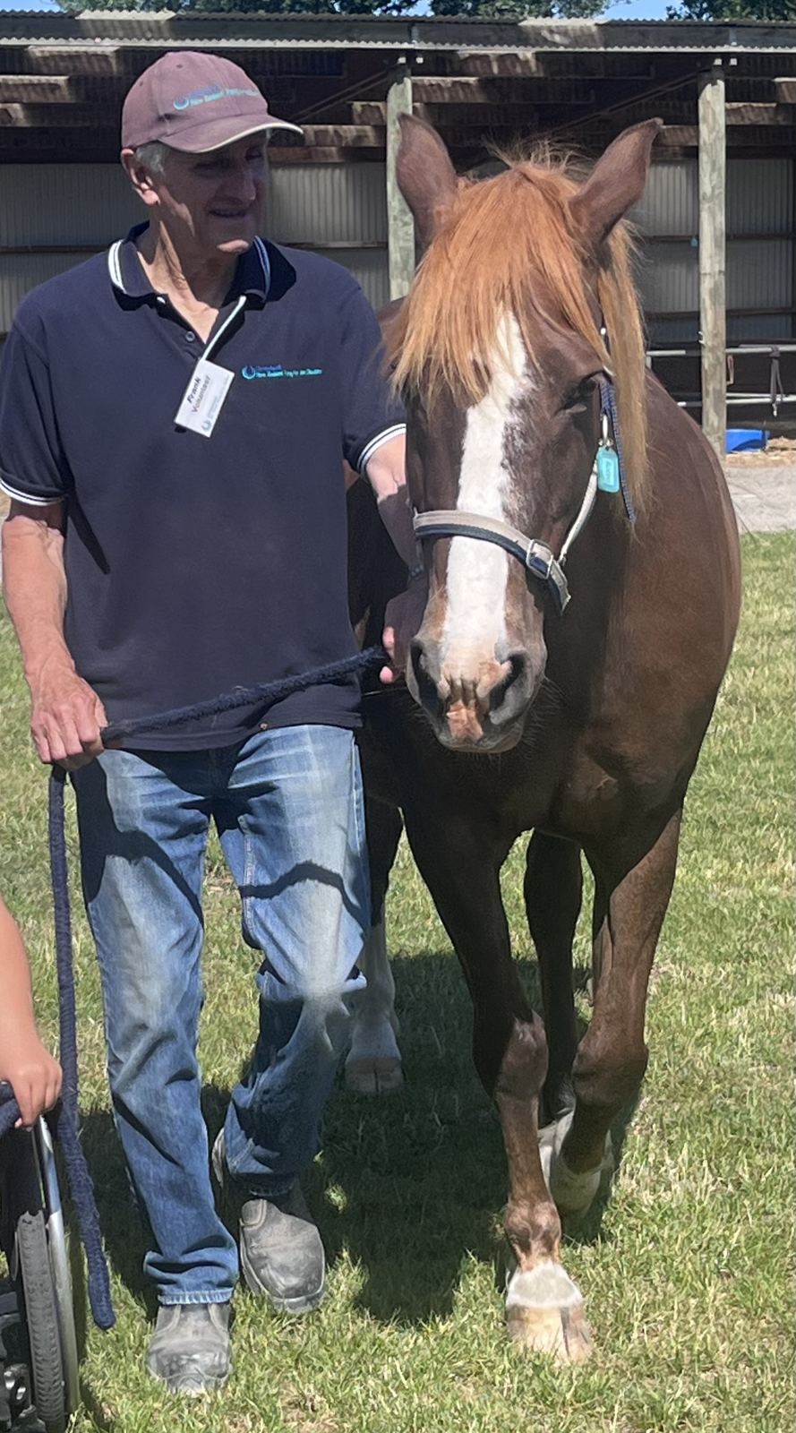 A volunteer in a cap standing with a chestnut horse on grass