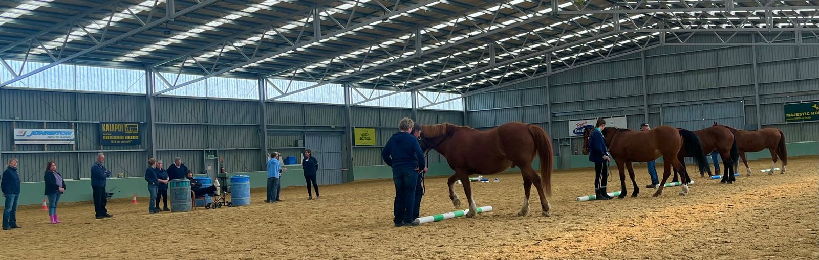 Volunteers watching a horse-handling demonstration in the indoor arena