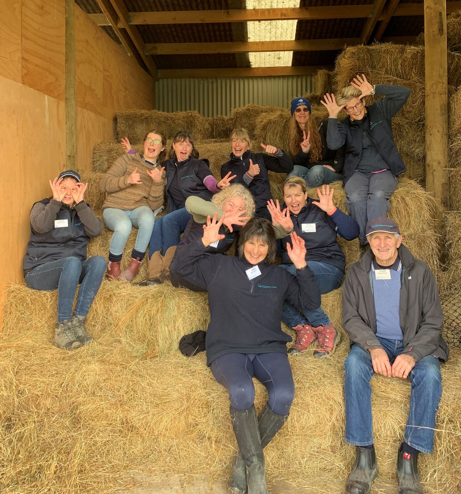 The Wednesday volunteer crew sitting on hay bales in the barn, waving at the camera